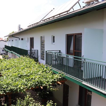 Pension Daniela Steiner Podersdorf am See Zewnętrze zdjęcie